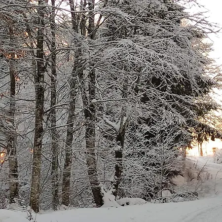 Maison Stijn, Les 3 Etoiles D'auvergne בית נופש Égliseneuve-dʼEntraigues